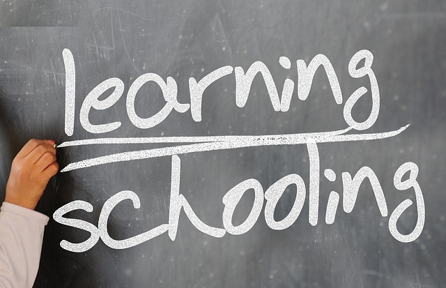 Die Bestimmung einer Handelshochschule: Wo Theorie auf Praxis trifft